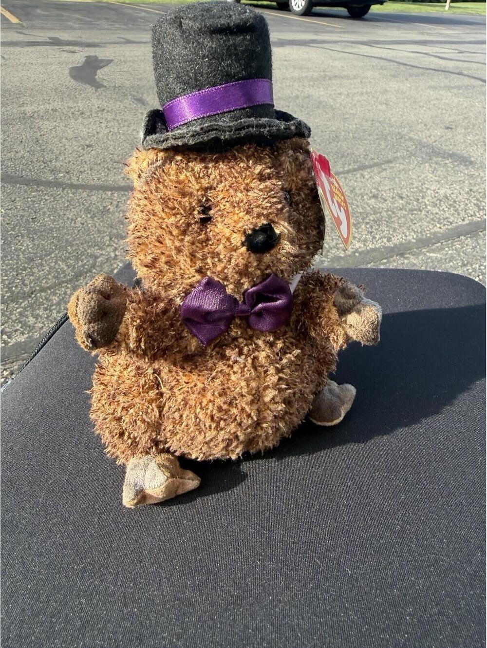 Ty Beanie Babies Punxsutawney‎ Phil 2006 Groundhog Day Plush